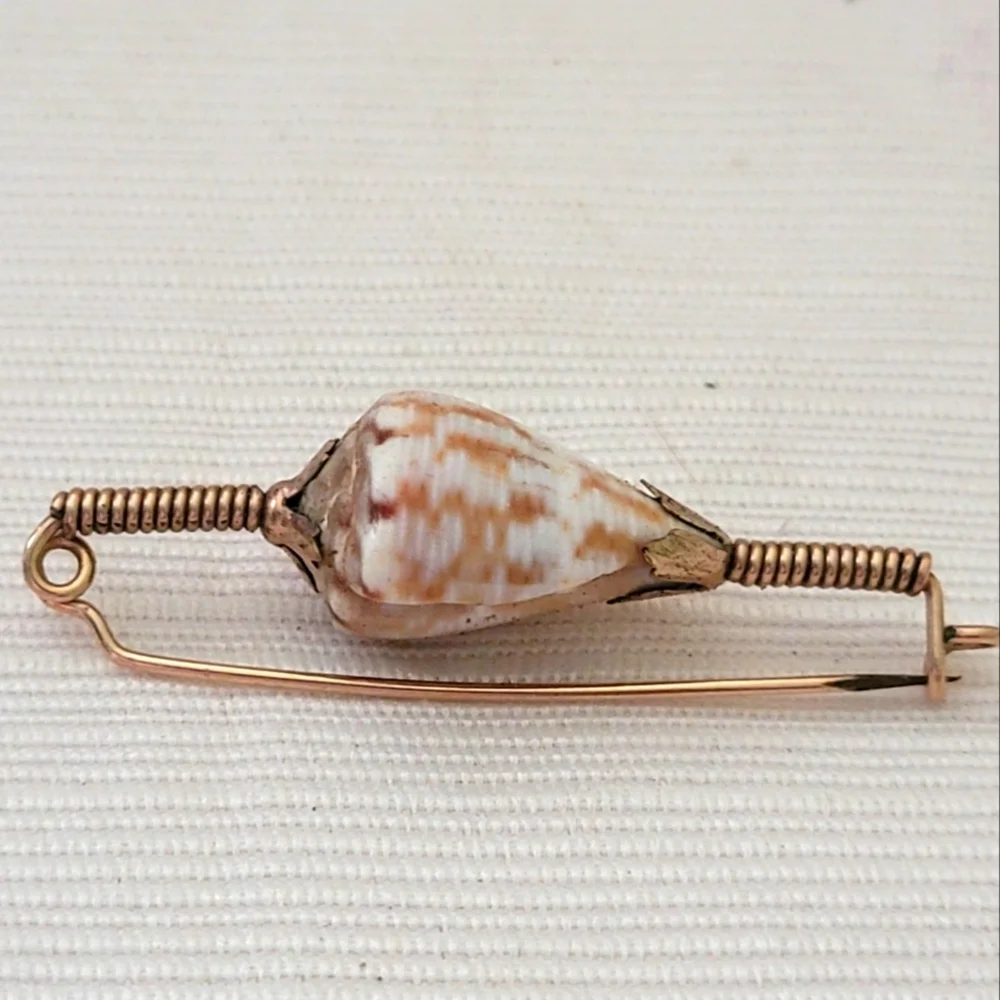Vintage Shell Broach & Rare shells - Picture 2 of 6